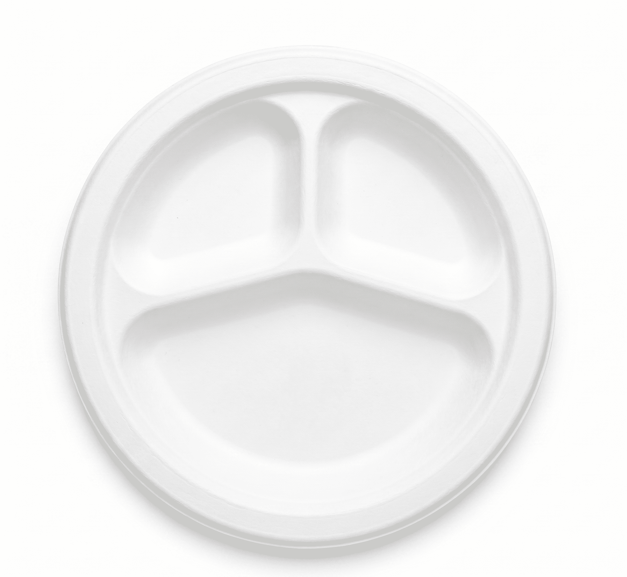 9" 3-Compartment Plate 1