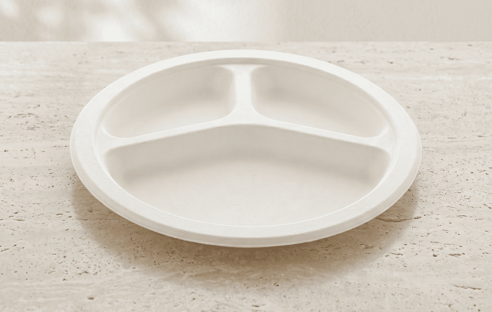 9" 3-Compartment Plate 3