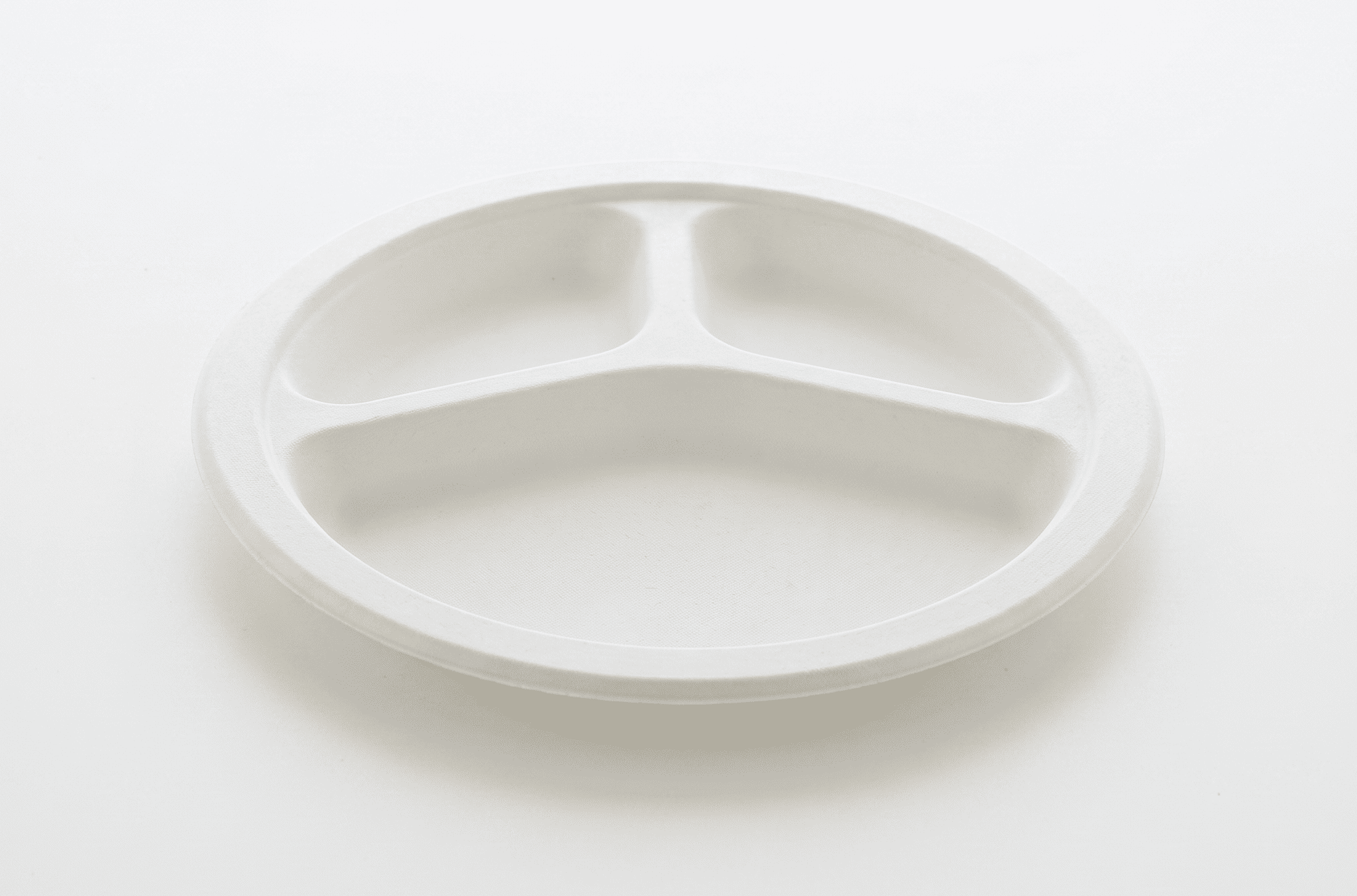 9" 3-Compartment Plate 4