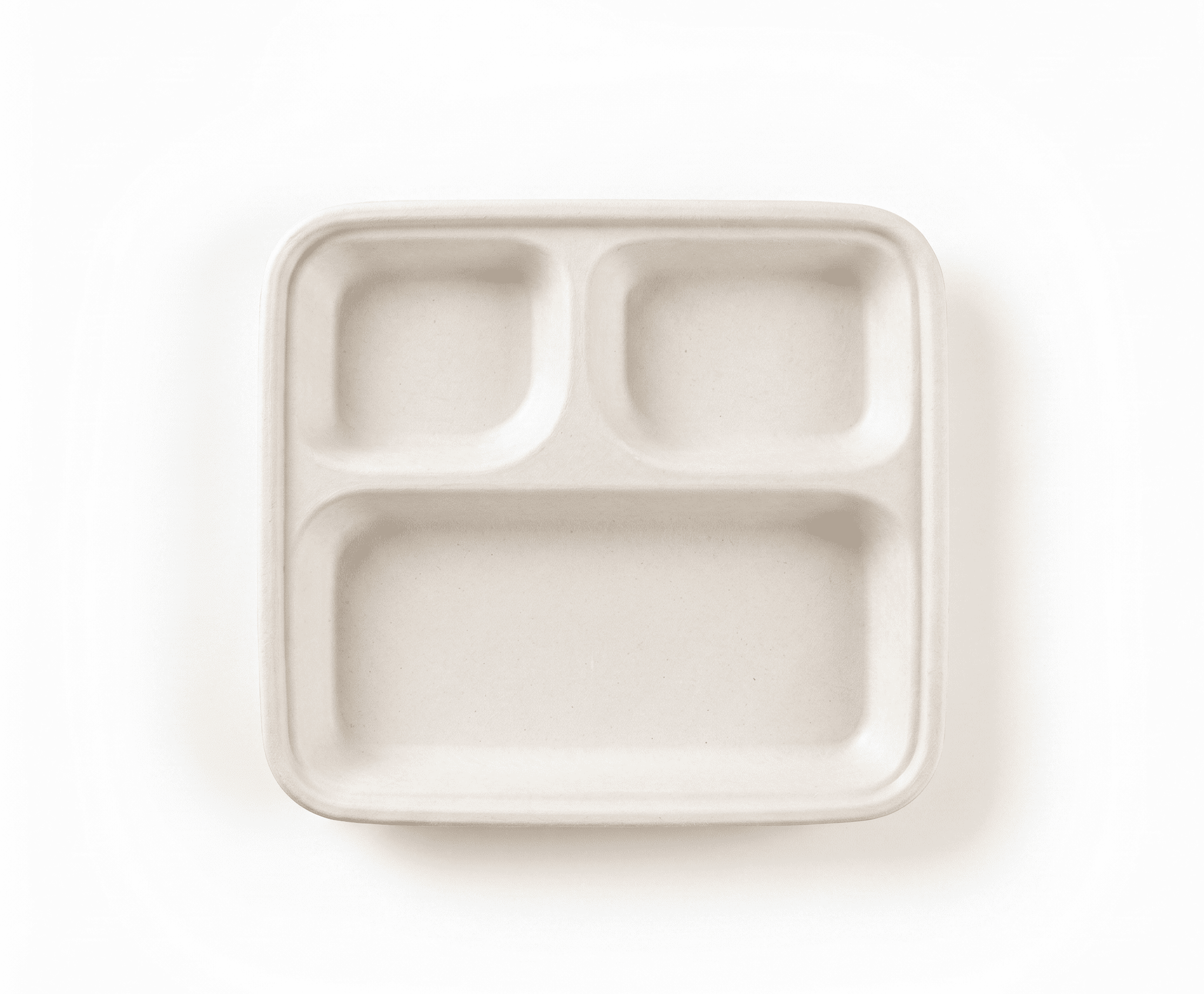 Square 3-Compartment Plate 1