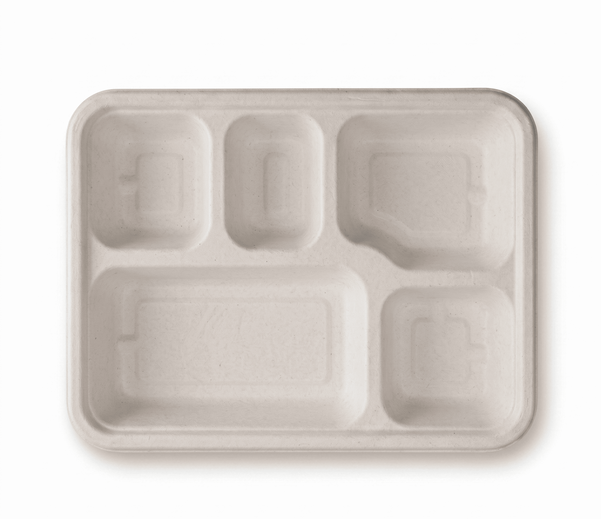 5-Compartment Meal Tray 1