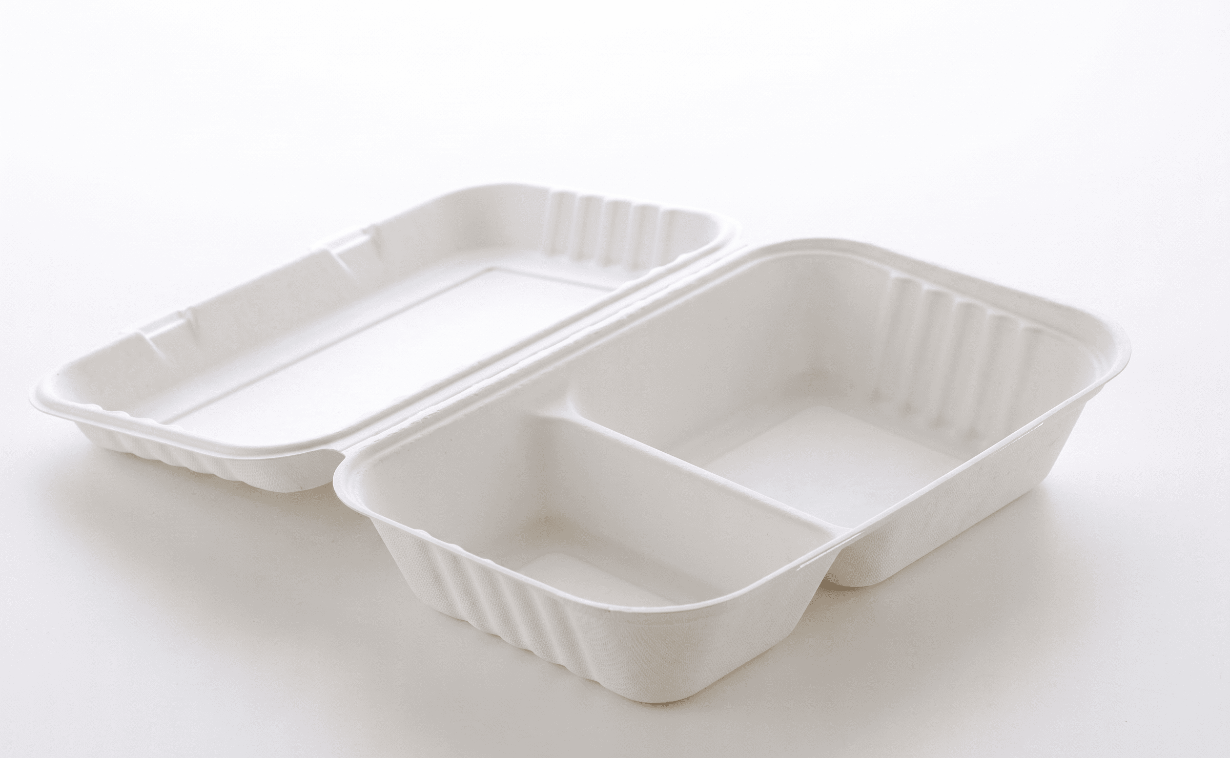 10"x 6" 2-Compartment Clamshell 1